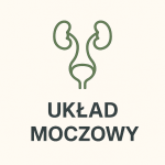 Układ moczowy
